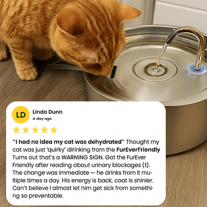 FEF 3.2 L Stainless Steel Automatic Pet Water Fountain